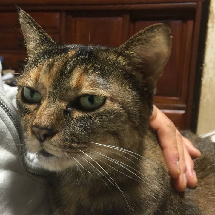 788820e0 4f8f 4369 82a1 9a004a96d432 1549950304685