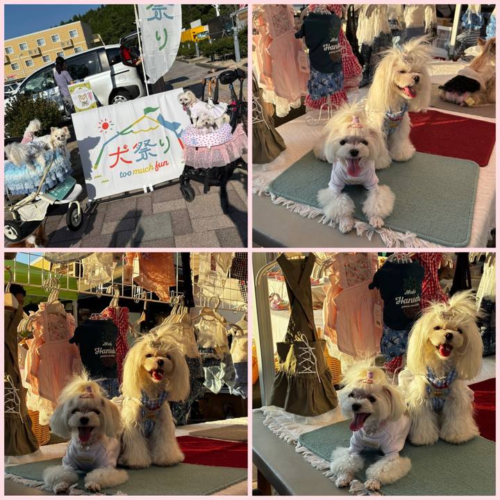 7888382f d14e 435d aad1 cc3cb0e59720 1756561063301