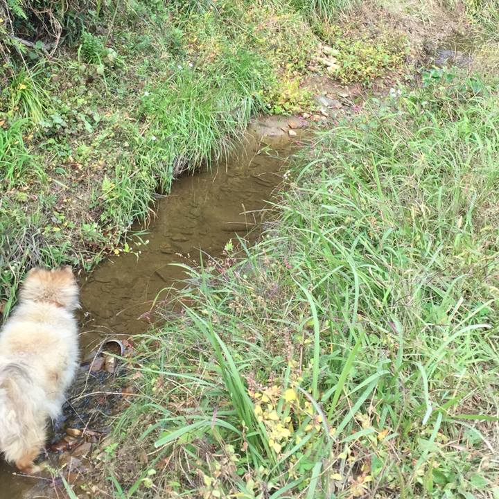 78885609 45dd 43ad 8990 6466683248bd 1628467591308