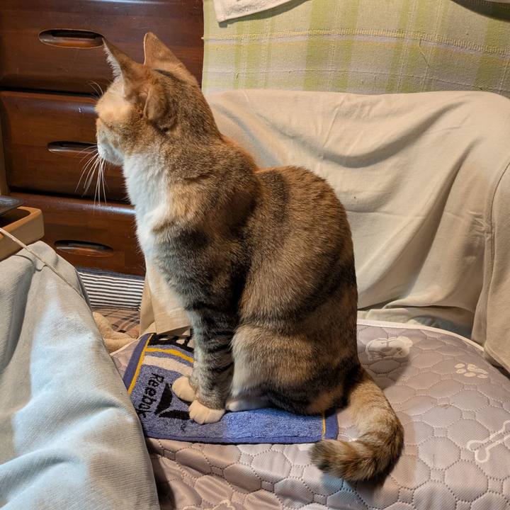 788867fc 5a38 45ab 9503 8566e219a635 1766167068180