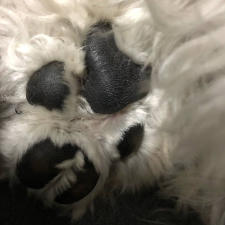 788898cc 2c76 409e 9543 639e785414c2 1601977845194