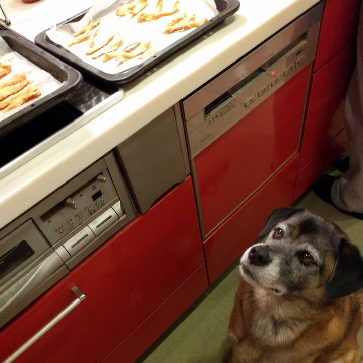 7888b159 1b4b 4f1a b0eb da0310beebbd 1697935663686