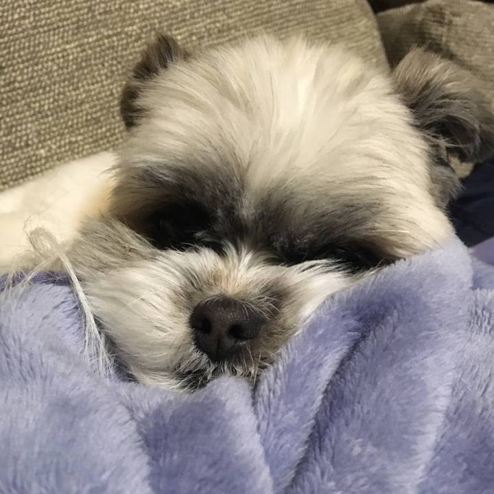 7888bdb8 fd11 4cba ba4e a8a3c2506ef6 1516699128072