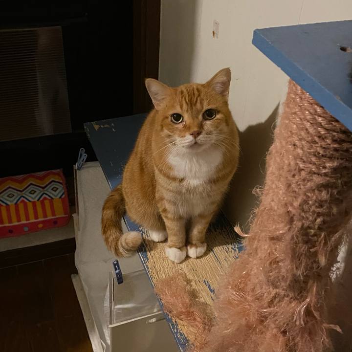 7888efea a176 4124 bbdc 63be5ef2bc45 1668785755783