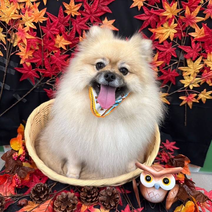 78890ac8 d8df 46ab 934d ba0e8d4ac262 1698921400385