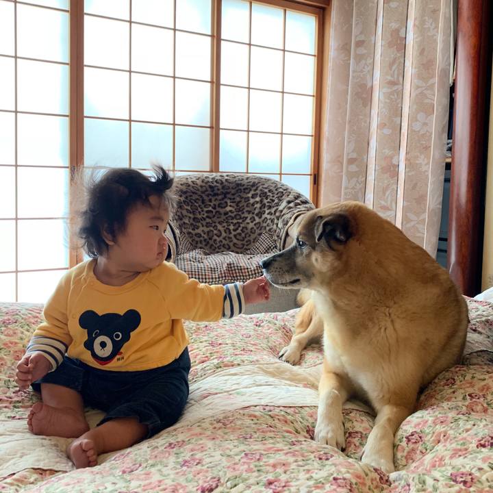 788911ba fe14 47c4 a406 0b02b92af0fd 1544330127951