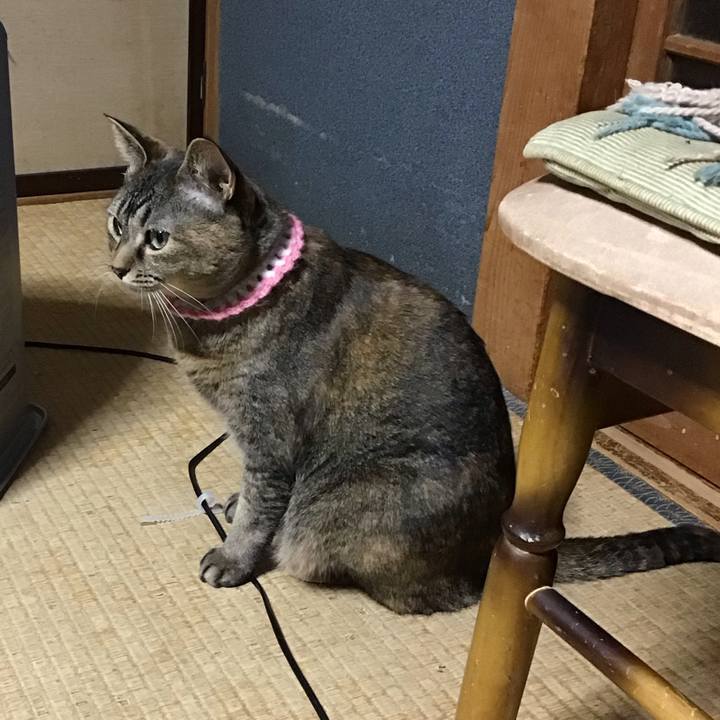 788951ba 5842 4d55 ba1c 0bd8f37f9ef9 1742818786080