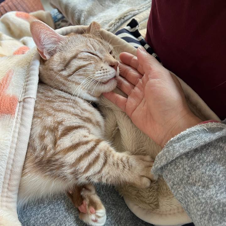 7889583e eafc 4ffc b83d 1da17032cdce 1668724227296