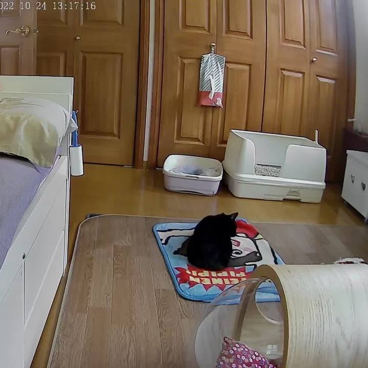 7889759b af3d 4579 ab58 478631339e18 1666585106008