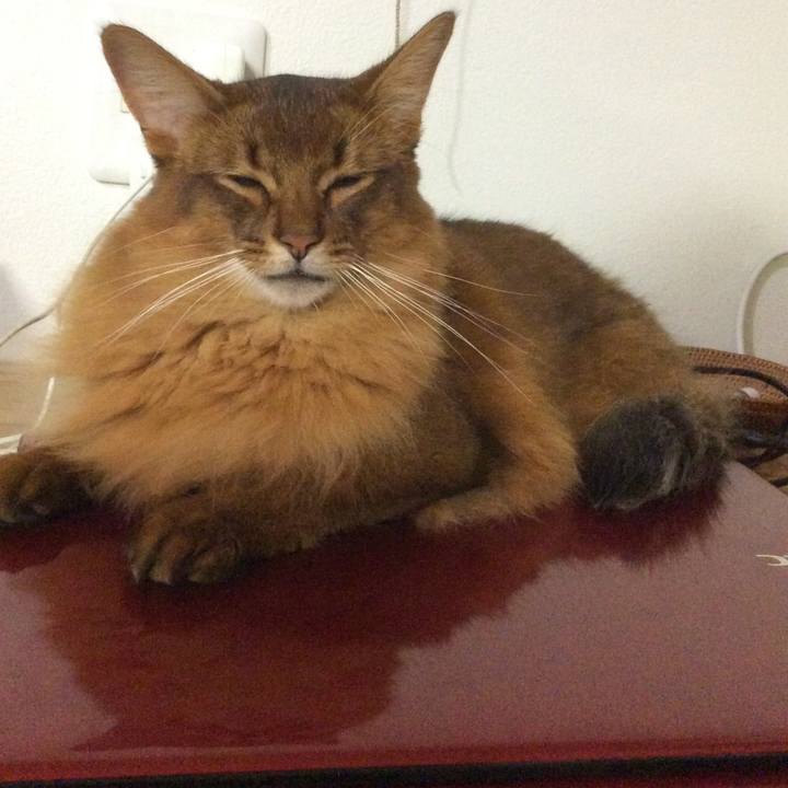 78899132 056a 4c92 9605 57b6704a1106 1600143838431