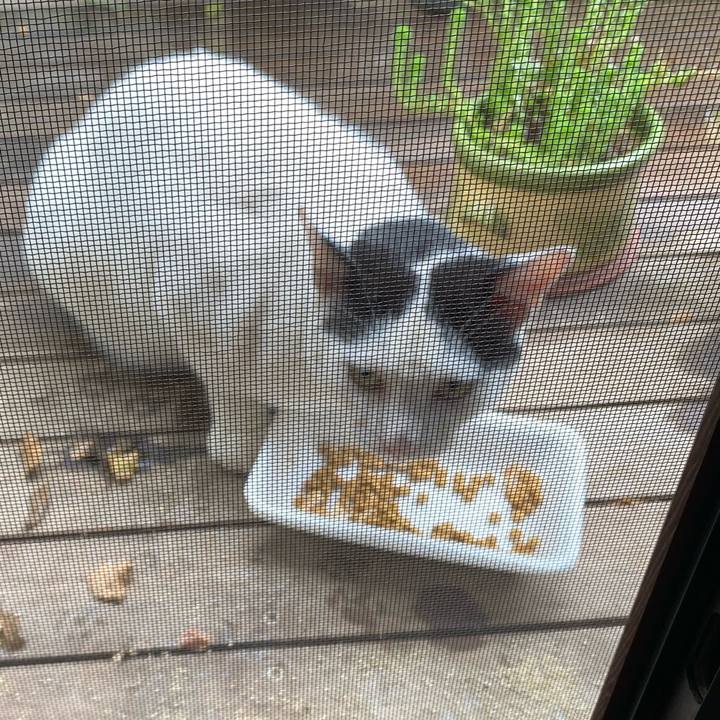 78899451 8af5 4733 9a4a d512028f09a0 1663637691160