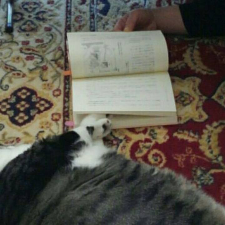 7889c426 5846 4d8c a0f3 8335cae038a3 1512995733351