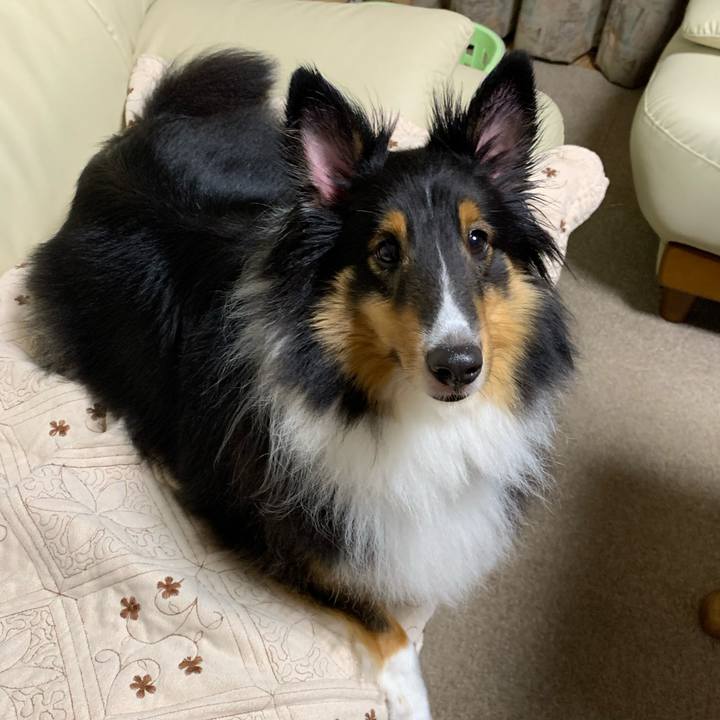 7889e344 1578 4a40 8380 d710b0c80375 1595282157878