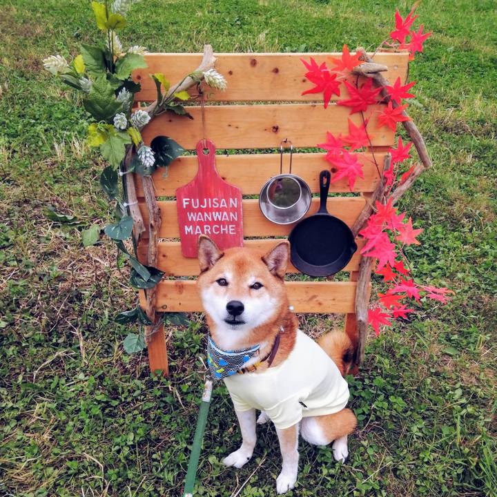 788a01b5 9ffa 4151 895e 94376043786c 1633868523288