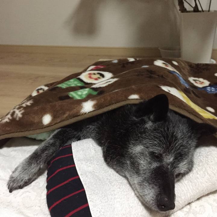 788a033f 0b7d 46e5 8a36 30fcaade10fa 1578391126084