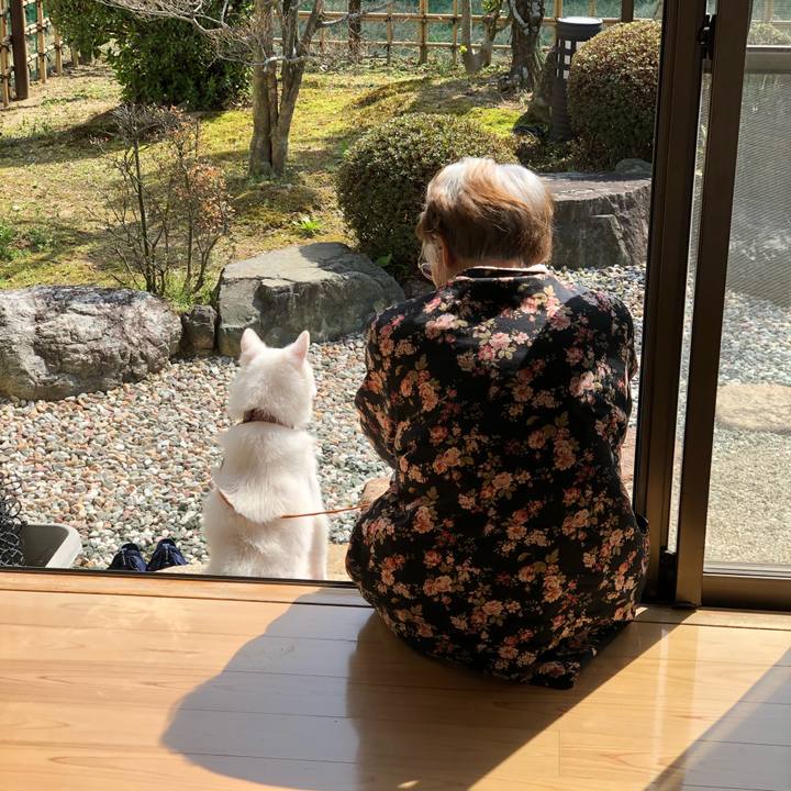 788a4cd7 f31c 4771 a535 42ce13a6cc95 1616584249291