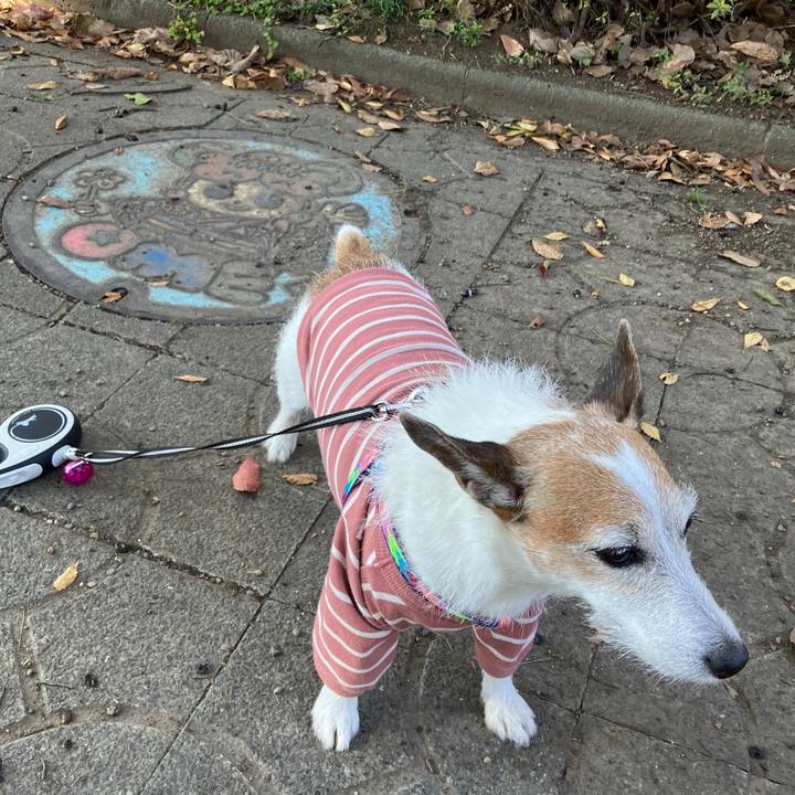 788a5295 d661 40c8 b0f1 f8e9290e59d5 1731626275444