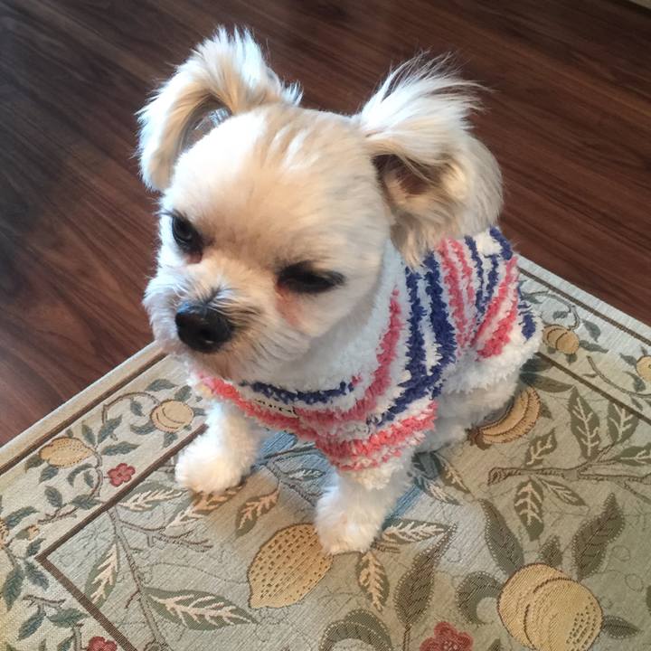 788a56d1 f095 43b9 89bf 7f528d4e8b99 1516965842684