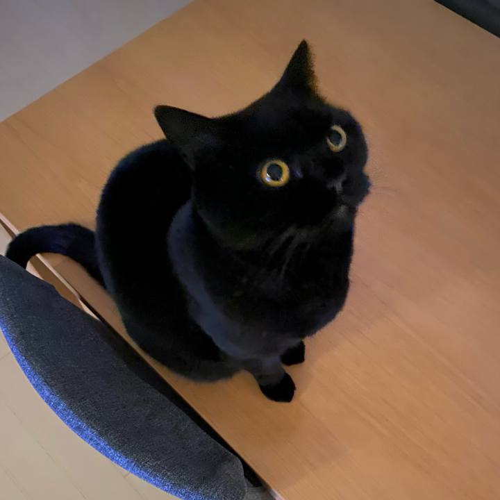 788a8eb5 f607 4693 9144 5e654779eaba 1737723348604