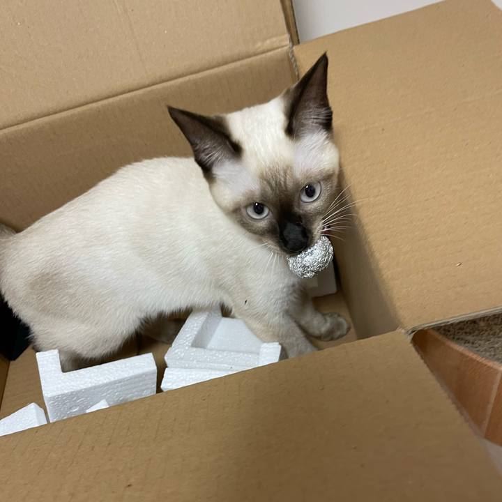 788aa970 1139 422f 8b5e 18baf76a5fbc 1695756169394