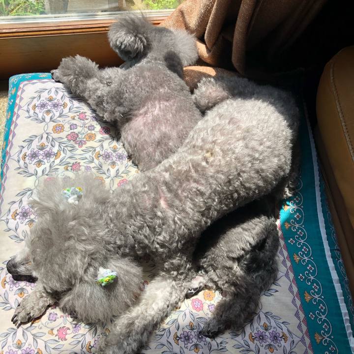 788ab5e5 b248 4b10 beea 1f9716e57f48 1587120562648