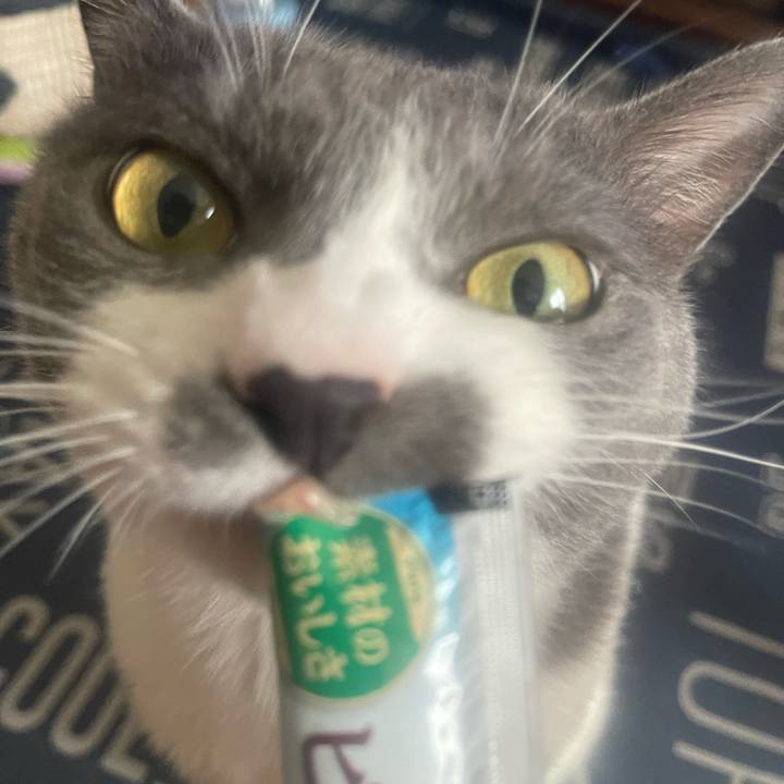 788acd52 ff68 40f0 8d0e 5360ca81c47c 1719213983495