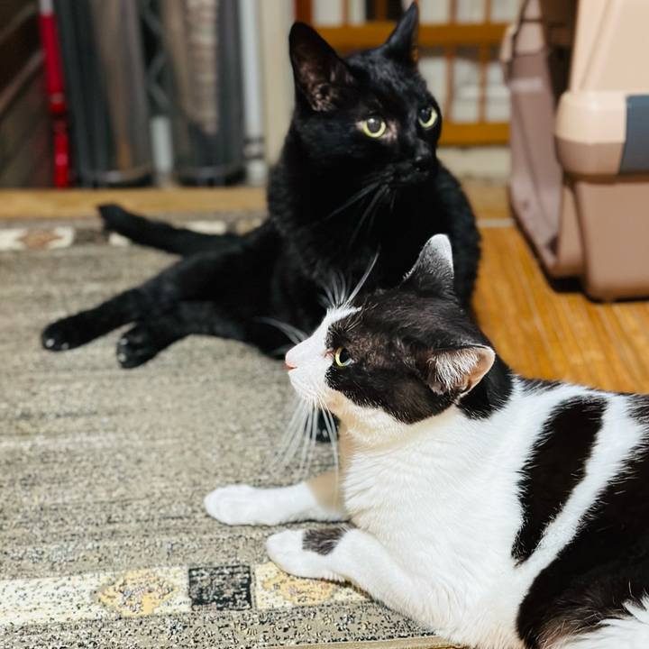 788ad569 8c08 4863 b7c0 773cfc27740f 1693096996395