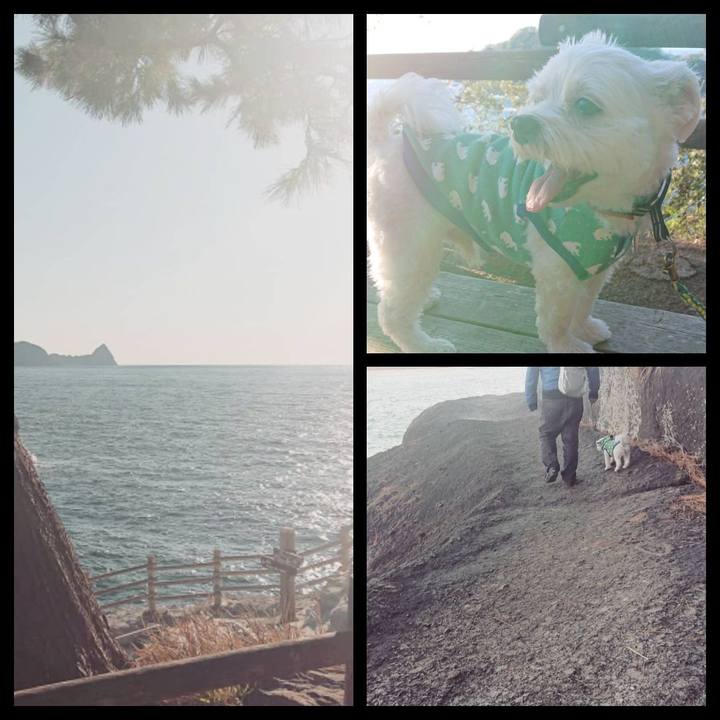 788ad661 460d 44a1 bbc9 dc8530cad802 1546431110327