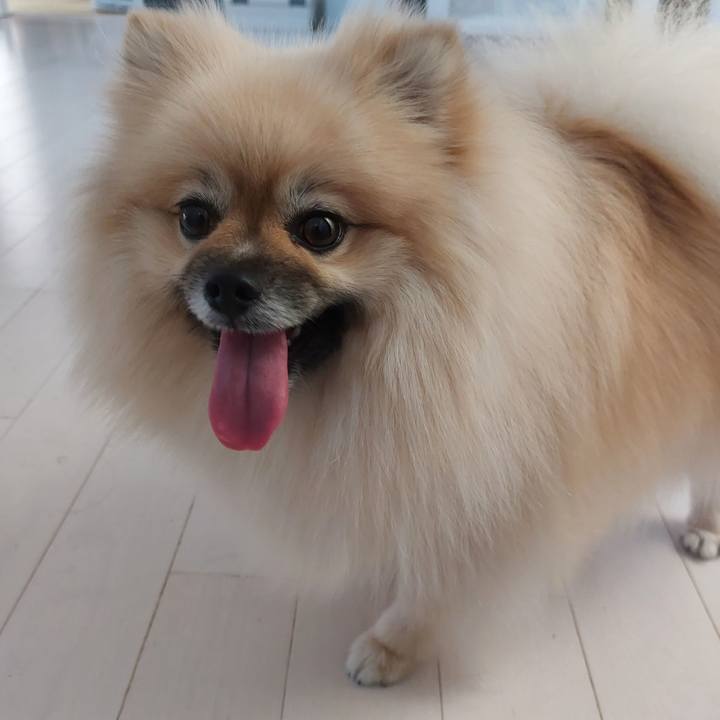 788ad7c1 9969 489d 9467 e9e17099c5de 1693652428158