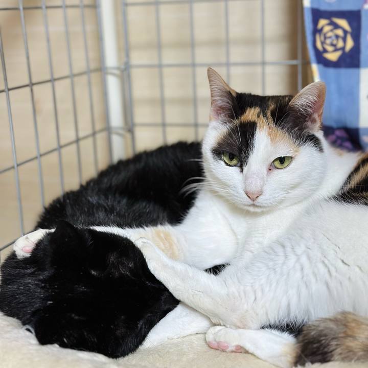 788adae1 7277 4526 a714 a8114dccb7d3 1709170877462