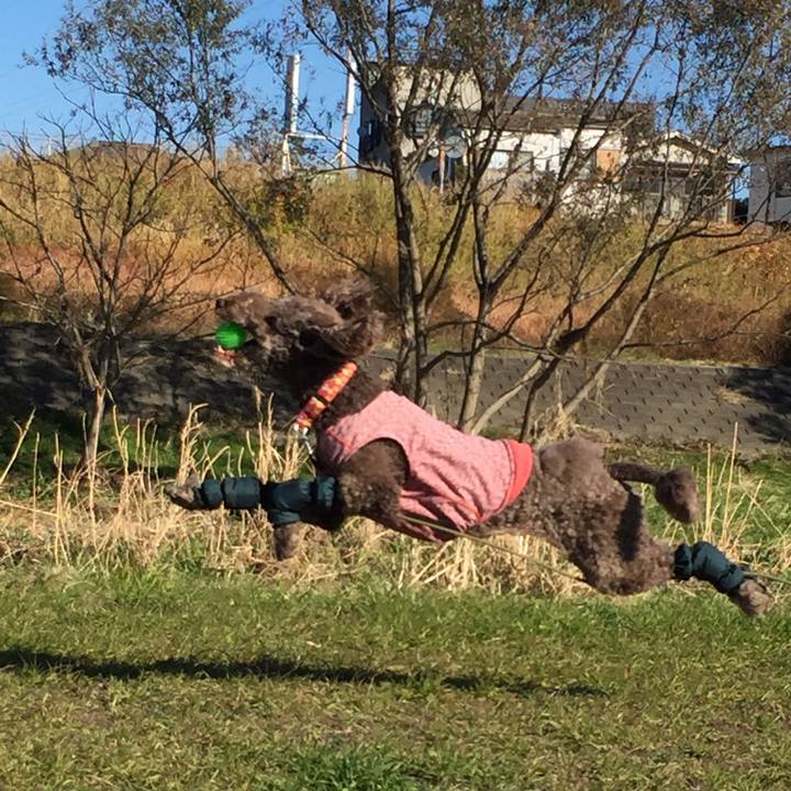 788aec37 6378 40d1 ba43 c7aab16c16cc 1512532897589