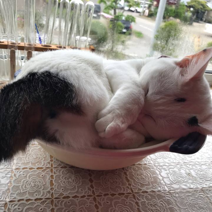 788b1fa7 fdfc 4529 96a0 544aeadc194e 1623190520179