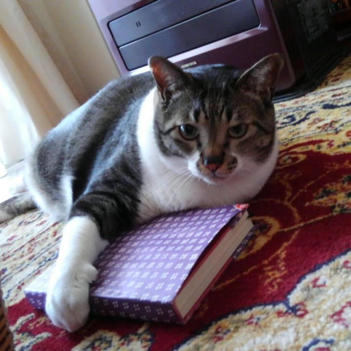 788b6023 2d5e 441e 9e64 454054ef3dea 1619496478355