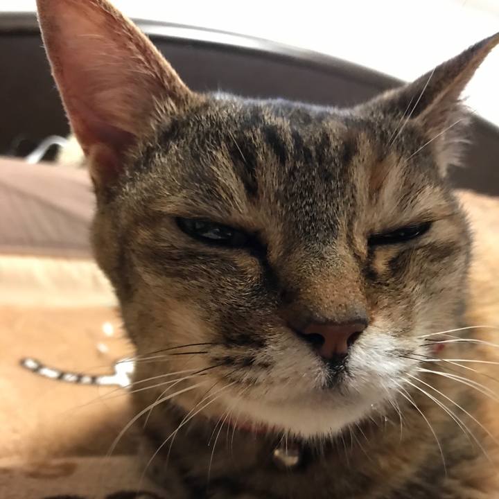 788b6040 2314 4eef ae5a d09bf348b0a2 1528414257738