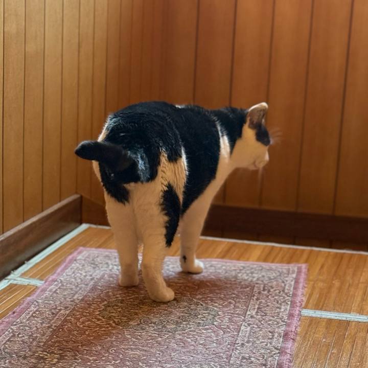 788b6473 0474 4dd9 88db c99c177df408 1774230946490