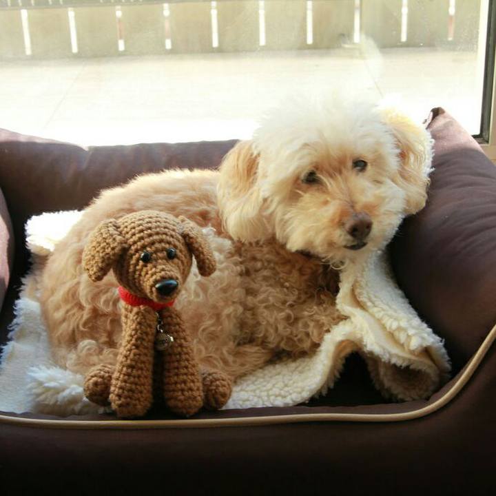 788b6c65 493f 46b7 87dc bba3c2fa5a24 1582496006879