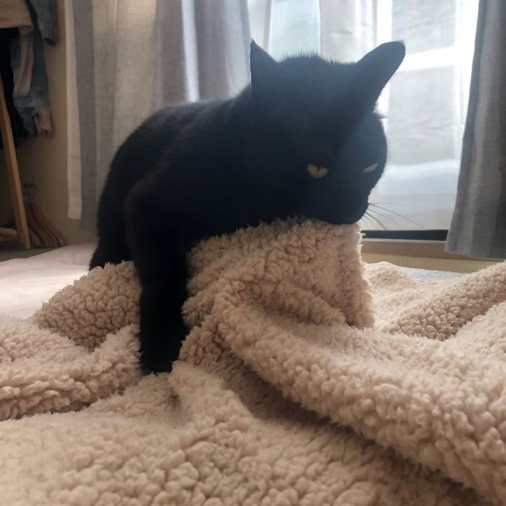 788b8a80 0003 4a6c b06b 81c33d84b8e8 1611014647018