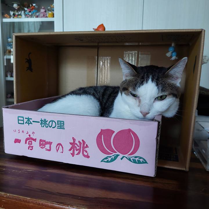 788b9548 bf01 4801 b266 ab521db5a0c2 1686958194407