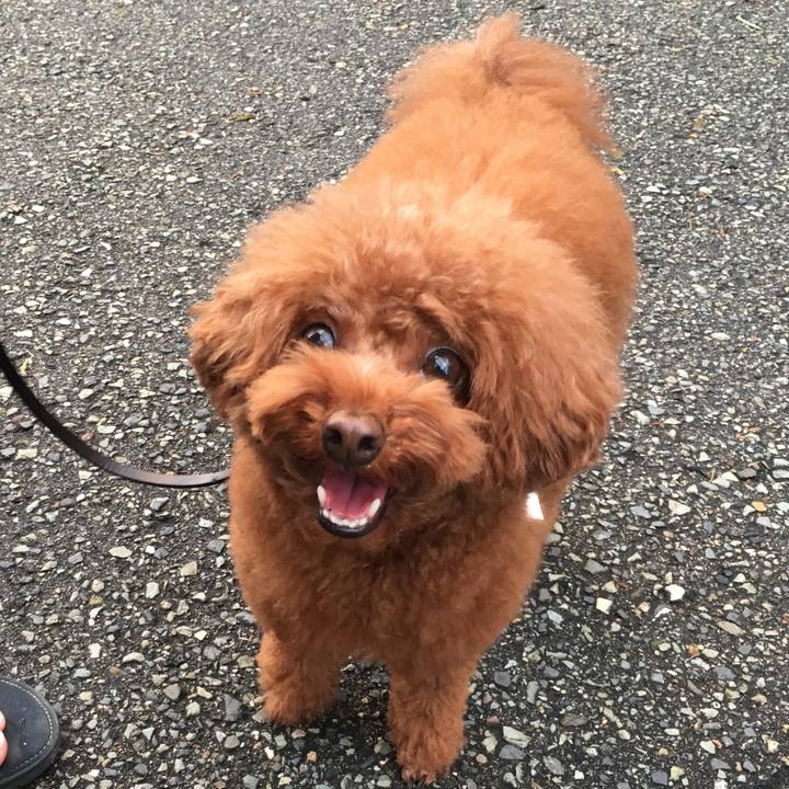 788b9e66 ef7a 405f 8113 6f72519d5f82 1536099122690