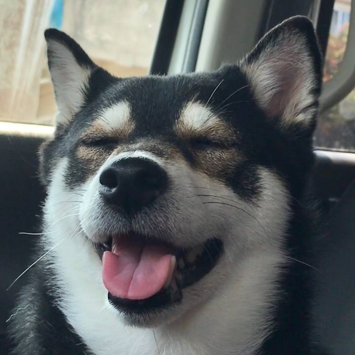 788bcacf 5de4 4d88 a404 24df67dcd96f 1521340507791