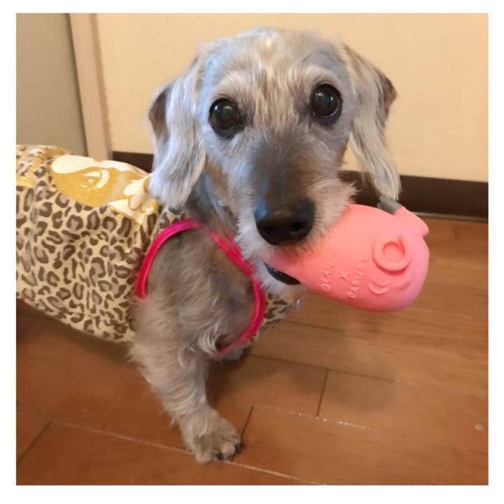 788bccb6 84a0 45dd 8547 4bb7c5acfd30 1526196481341