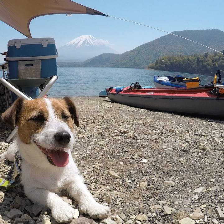 788be673 599e 44a0 bf76 072fc2f54ceb 1524750021367