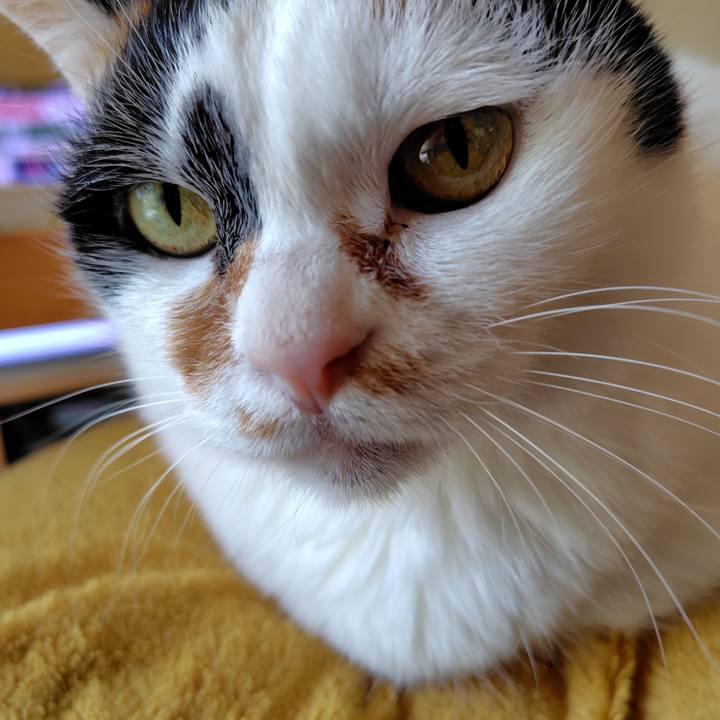 788be842 fd76 41ef 80b1 bd1ffede644f 1747955831024