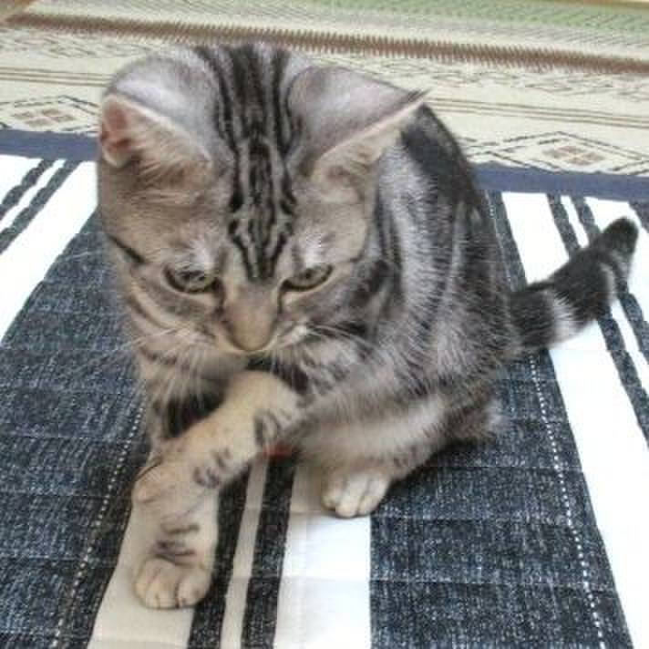 788c177b 20a6 44bf 9fee 49ebc9022468 1541669117525