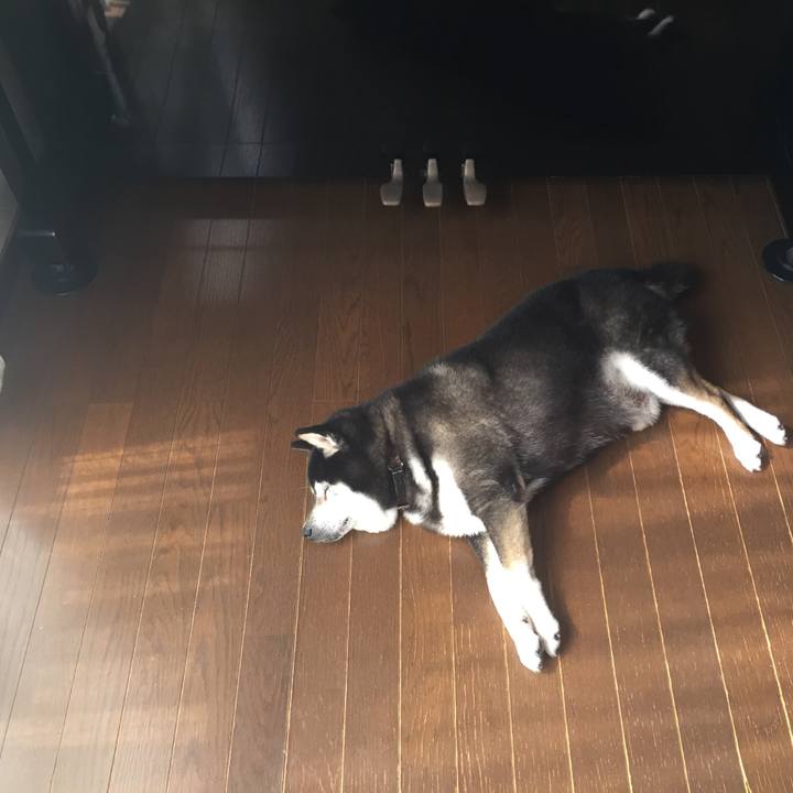 788c2f70 6c57 4a20 97df 3a775d33dc30 1539239632858