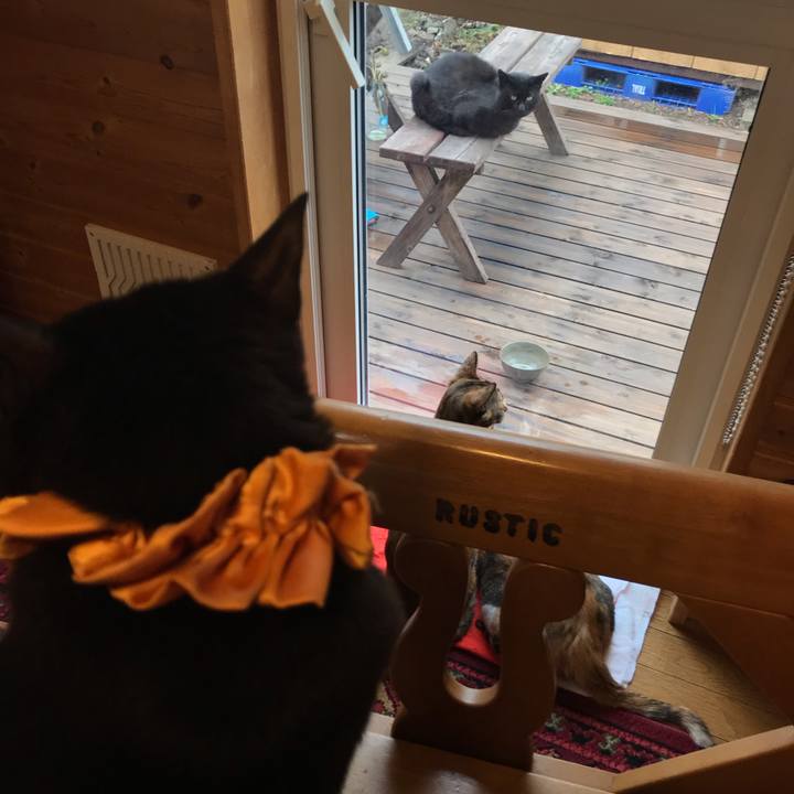 788c3cd2 bb71 4c8f 89c7 2aeaeb0573be 1629321531452