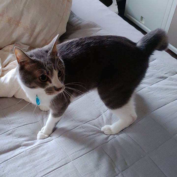 788c51bb e40b 4938 beec fc52d3c2910a 1661466382066