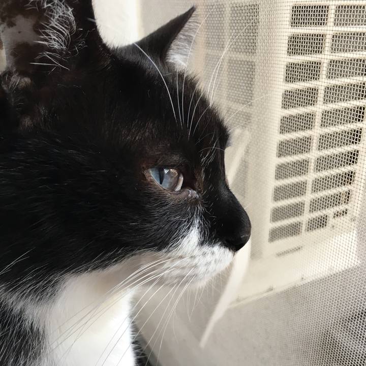 788c5ce8 8e26 4cb1 a3f7 7b7d05479056 1529054358670