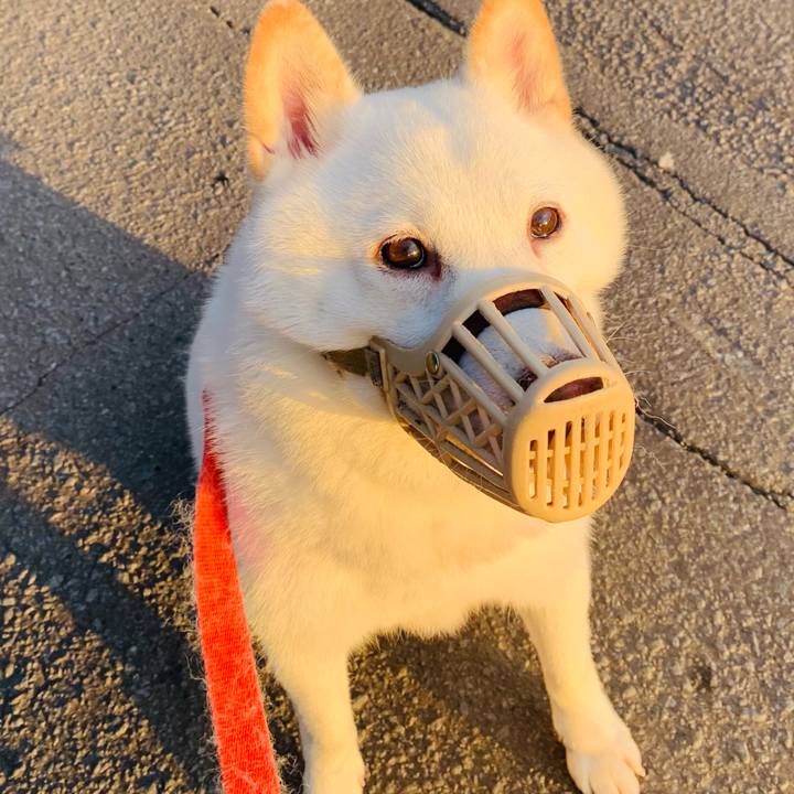 788c81f6 0a0c 4a73 a2b9 a7a9e1112b4d 1602370113106