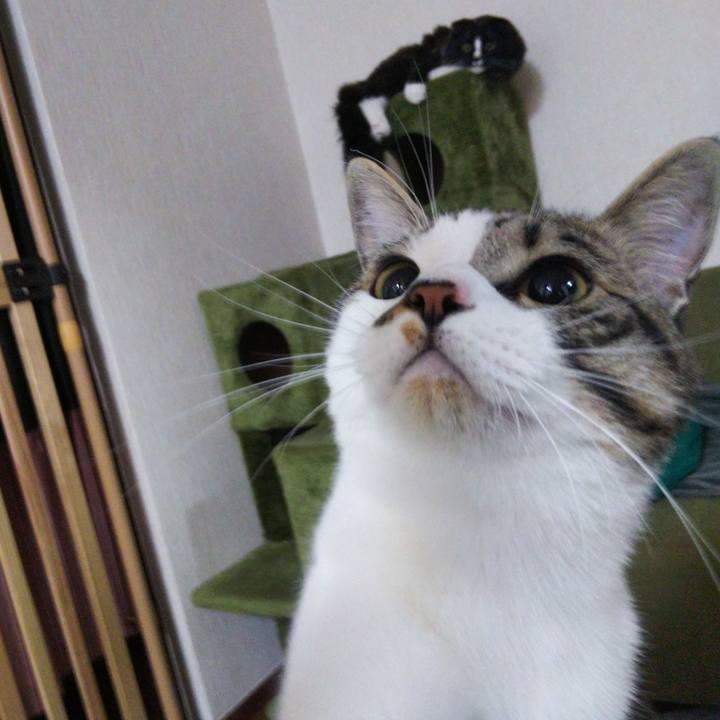 788ccb0f af1c 4673 8885 0a799cb88191 1648944923216